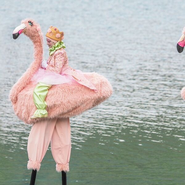 Metrò spettacoli - Artisti in strada - Flamingos
