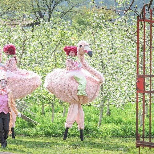 Metrò spettacoli - Artisti in strada - Flamingos